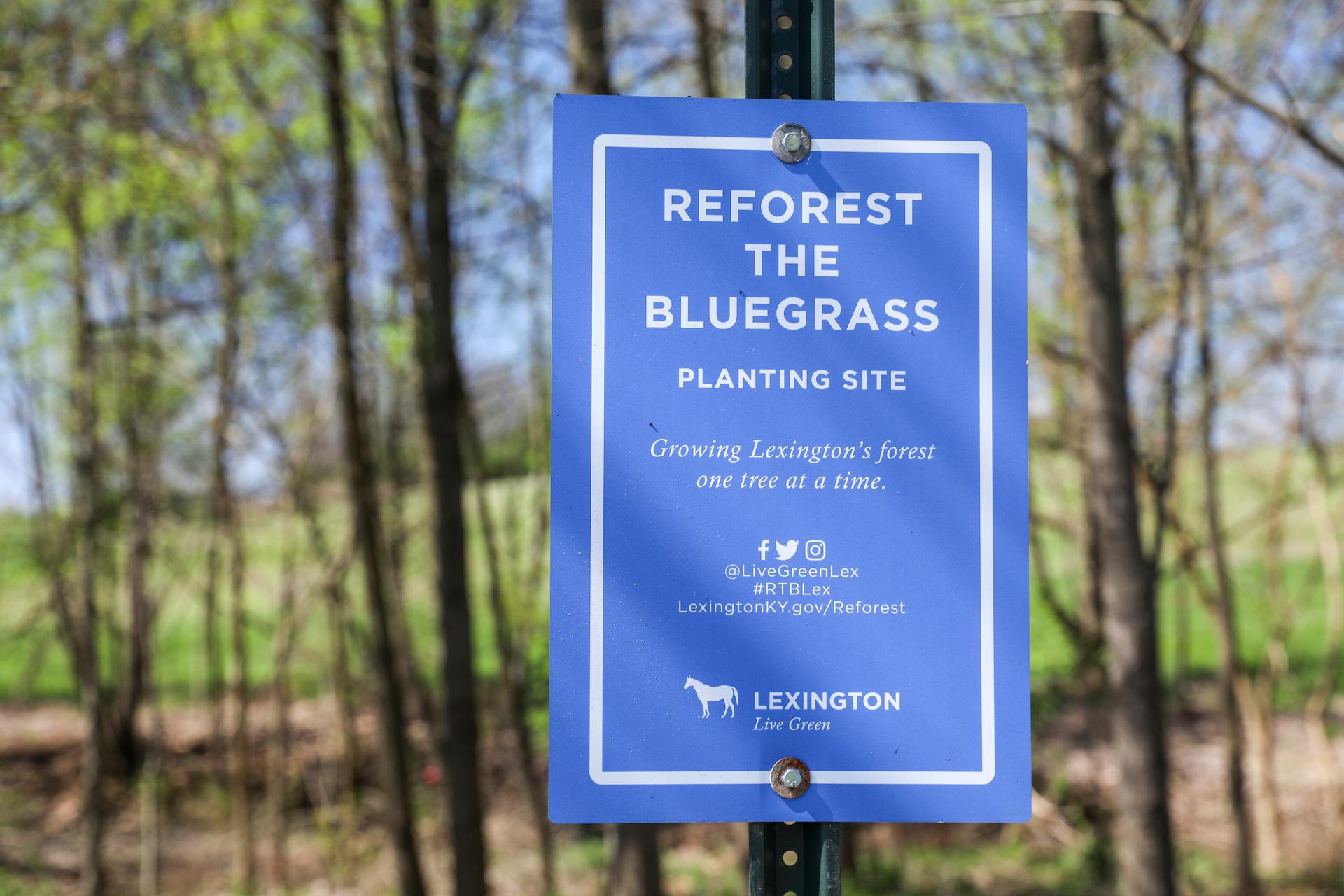 A Reforest the Bluegrass site sign.